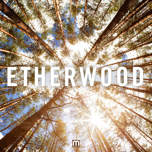 Number one track artwork for 2013
